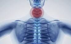 갑상선 기능 항진증, 왜 생길까?