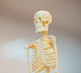 골다공증 치료방법 진단기준 예방법