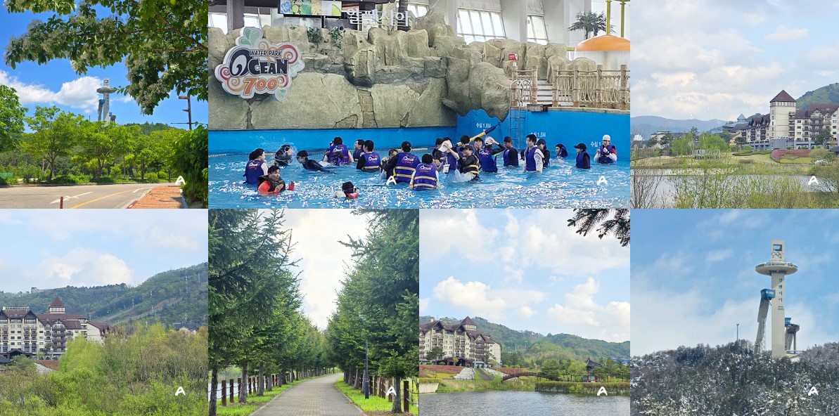 알펜시아 리조트