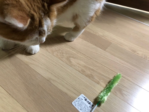 캐티맨고양이장난감