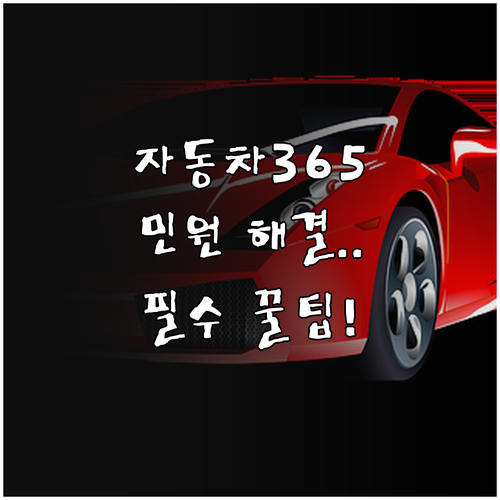 자동차365 앱과 대국민포털 활용법 ..