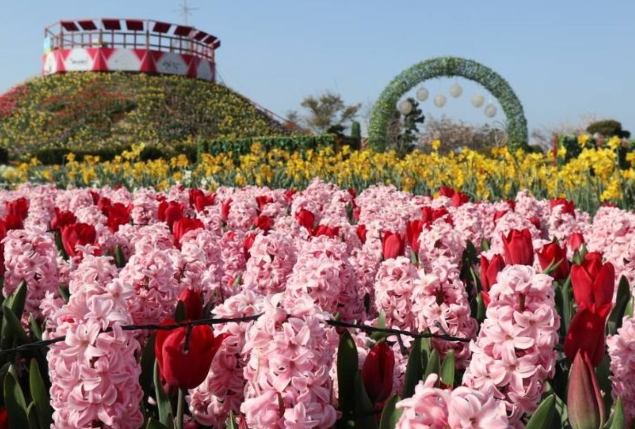 2025 태안 봄꽃정원