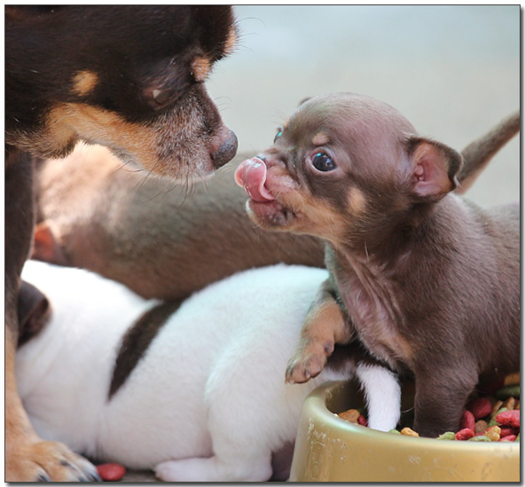 ์๊ธฐ ์น์์