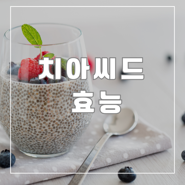 치아씨드 효능