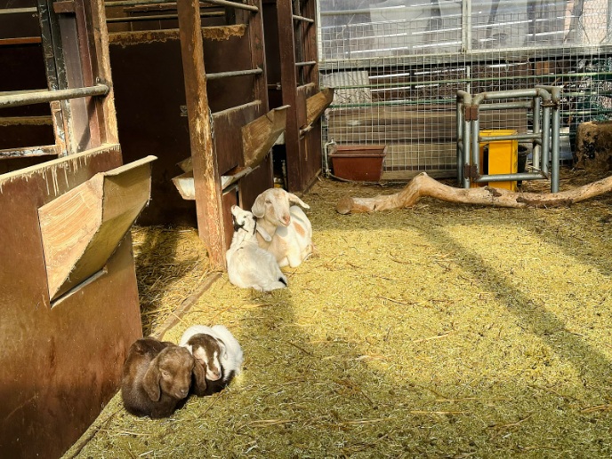 반달곰이살던숲