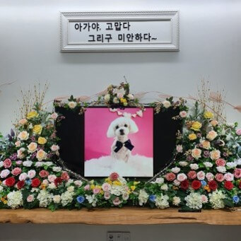 애견-장례식장에서-많은-조화속에-강아지의-사진이-걸려있고-견주의-아가야-고맙다-그리구-미안하다-라는-문구가-걸려있는-사진