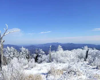 태백산 국립공원 실시간 cctv_7