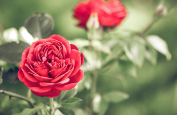 지하철과 버스를 연계한 상세한 이동 경로 1