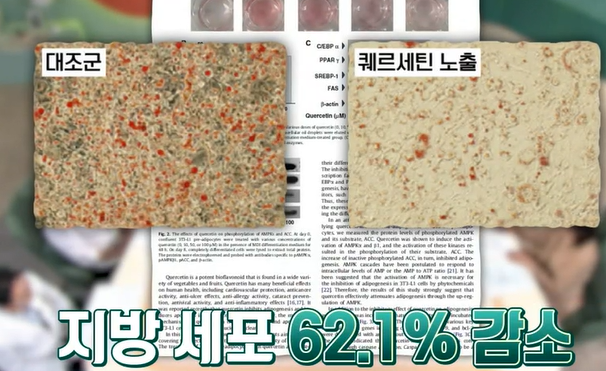 대마종자유 효능