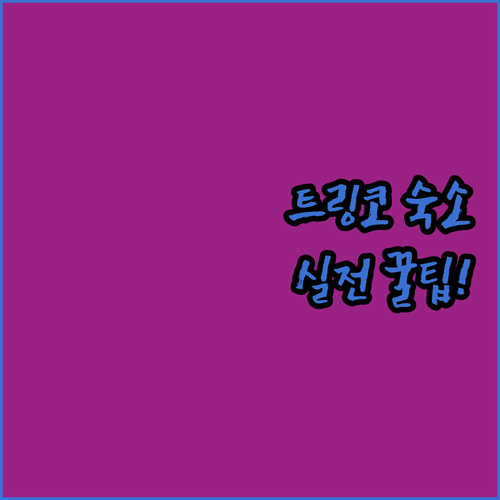 트링코말리 자유여행객을 위한 가성비 ..