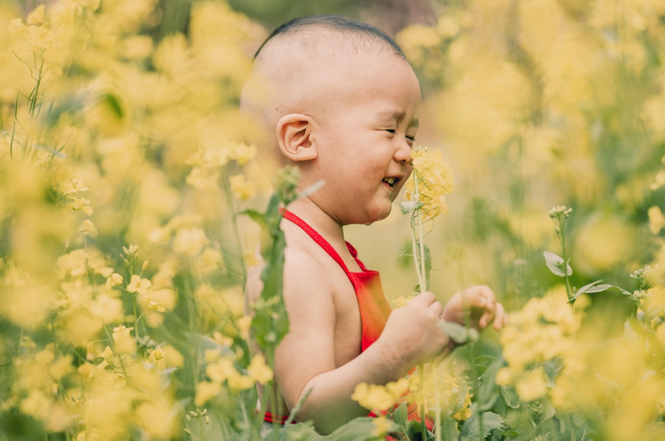 꼬마 아이가 꽃 향기를 맡고 있는 사진