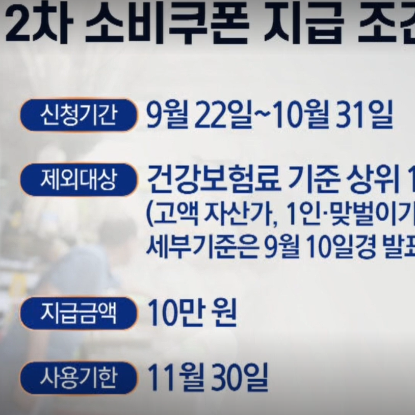 2차 소비쿠폰