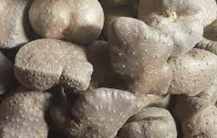 하늘마 효능 부작용 하늘마 먹는방법 보관방법 총정리 (최신)