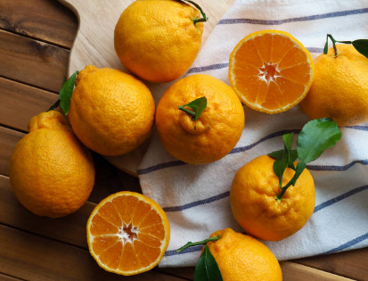 한라봉 천혜향 레드향 효능과 특징 차이점