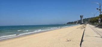 보령 대천해수욕장: 서해의 보석이 빛나는 최고의 휴양지