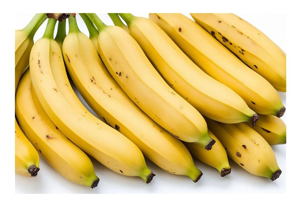 바나나 이미지