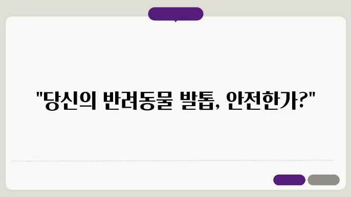 반려동물 발톱 관리