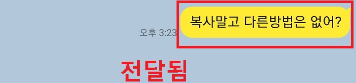 전달한 카톡내용이 그대로 전달됨