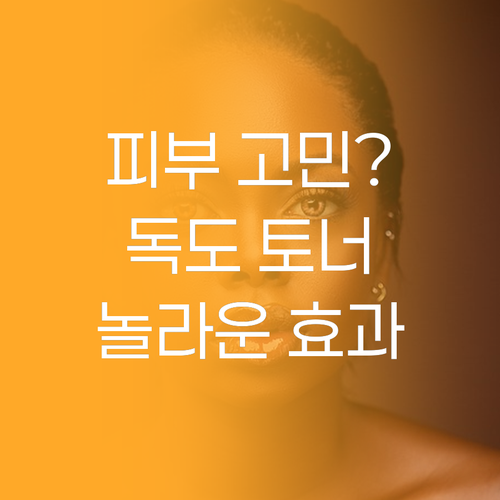 피부 고민 해결, 라운드랩 독도 토너..