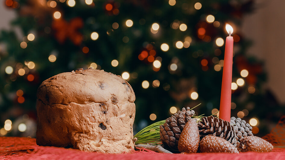 panettone 파네토네