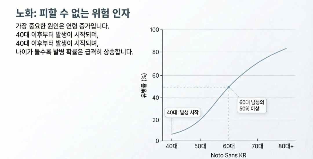 전립선비대증원인-사진9