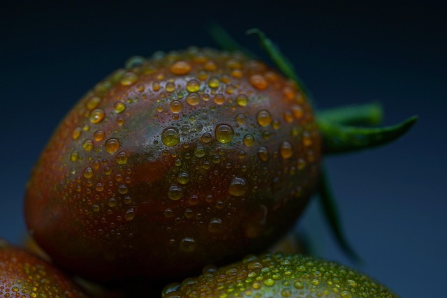 토마토 보관방법 꿀팁 18