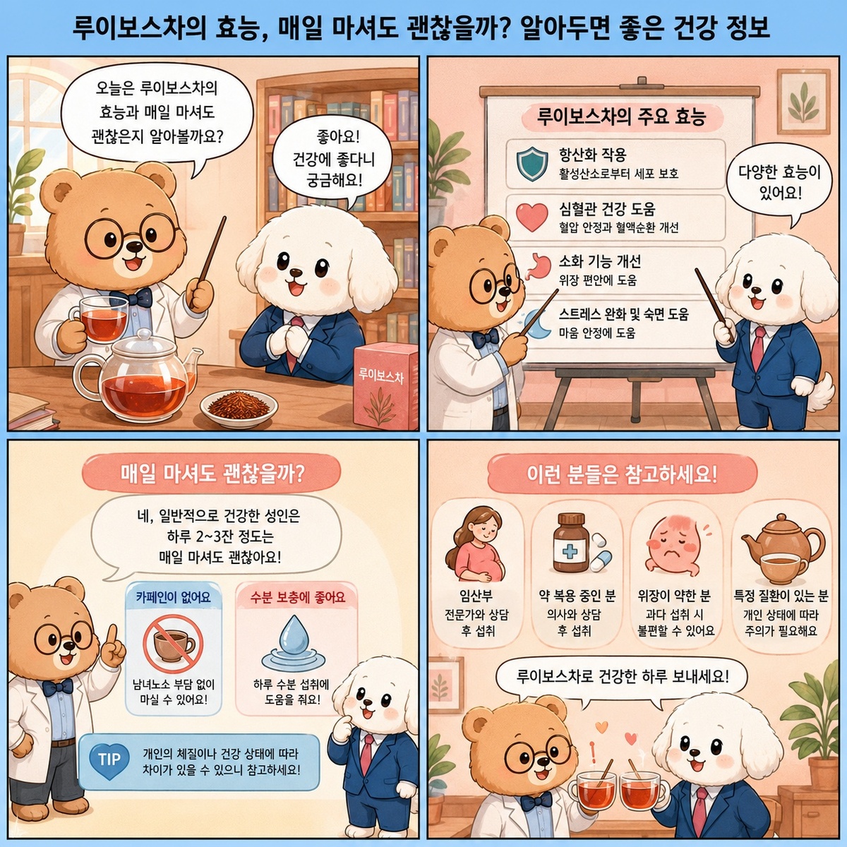 루이보스차의 효능, 매일 마셔도 괜찮을까? 알아두면 좋은 건강 정보