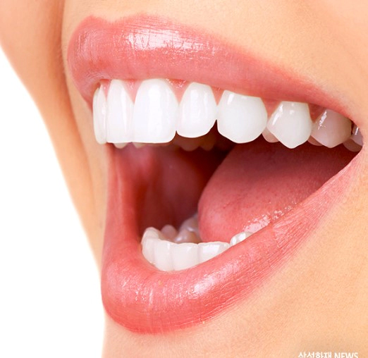 구강 유산균이란? 