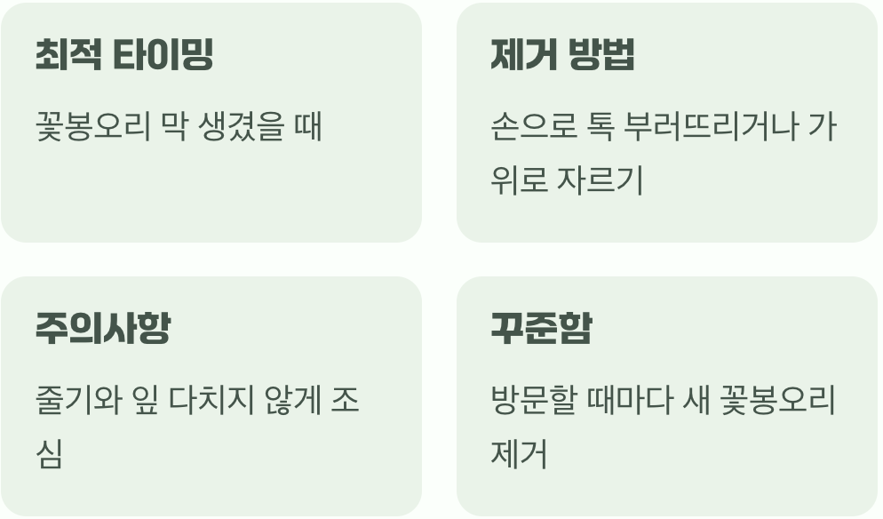 가장 효과적인 시기와 방법