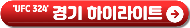 UFC 324