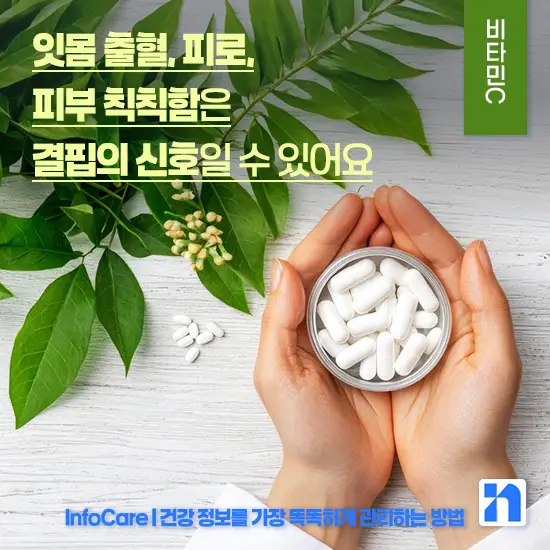 비타민 C 효능