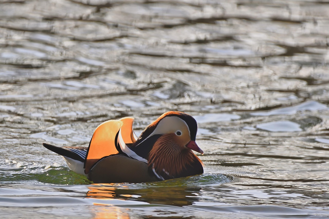 2025 실수령액 계산기