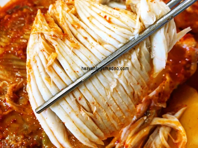 강릉 맛집