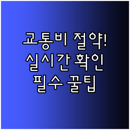 모두의 카드 교통비 관리 및 실시간 ..