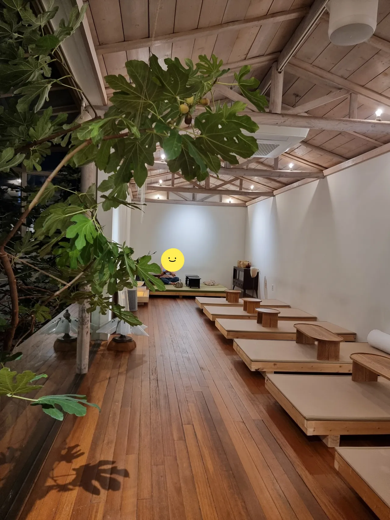 나무-나무열매-카페테이블