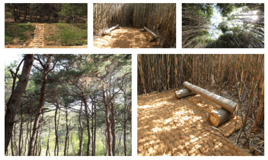 6월 축제 가볼만한 곳 (꽃축제)