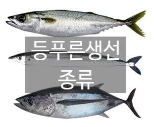 등푸른 생선