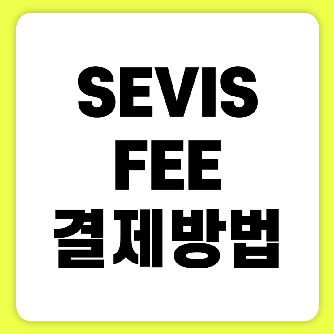 SEVISFEE 납부 결제 내는 법 영수증 주소 비용 바로 알아보기(+2024)