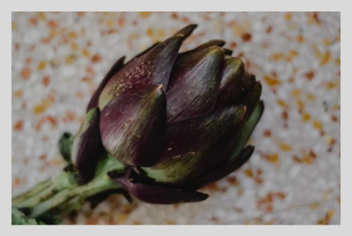 아티초크 차 효능 – 건강을 위한 변화