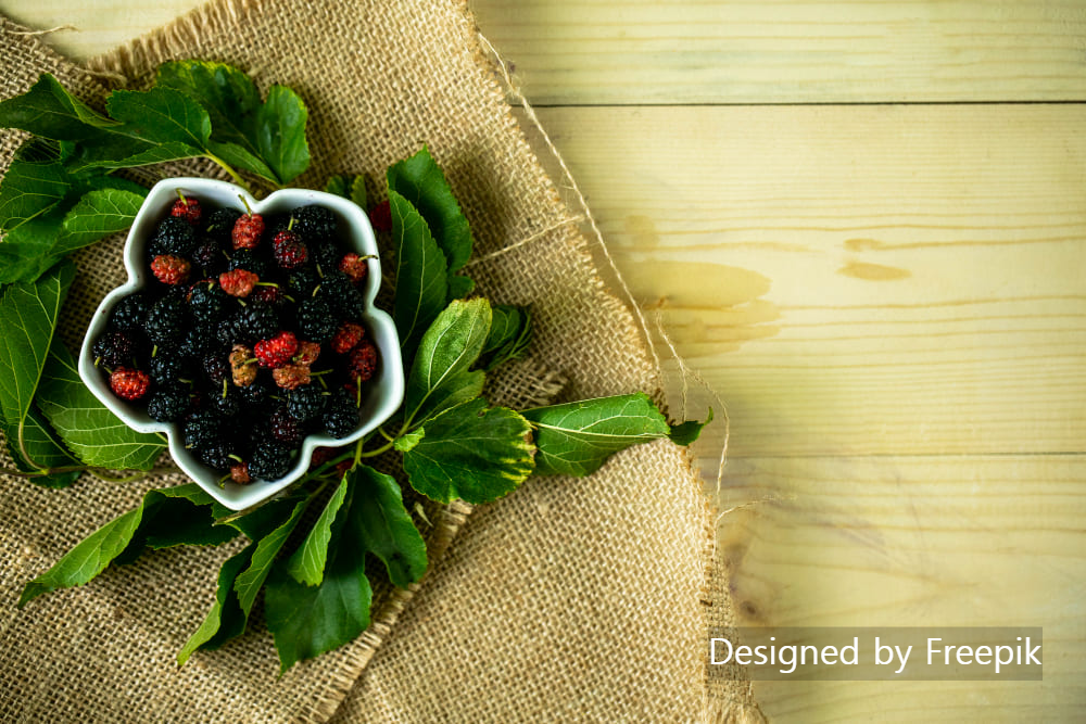 오디주 담그는 법