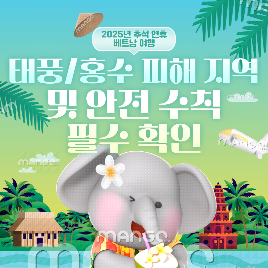 베트남 여행 관련 이미지