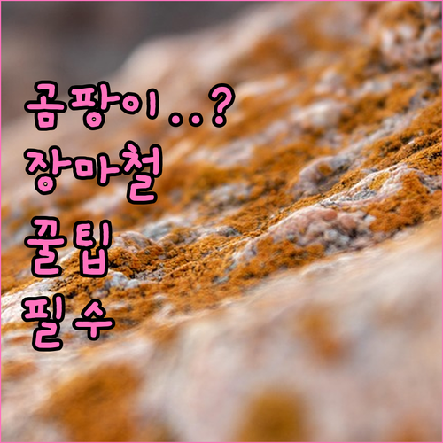 옷장 신발장 곰팡이 막는 장마철 관리..