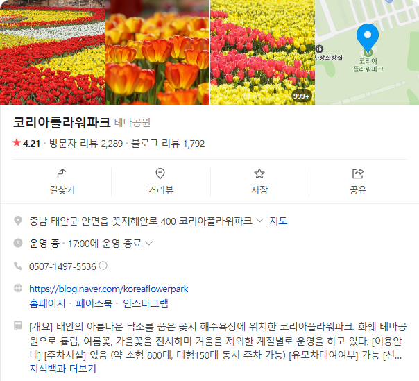 생방송투데이 태안 3GO여행 태안세계튤립꽃박람회 독살체험 우럭젓국 간장게장 꽃지해수욕장 낙조