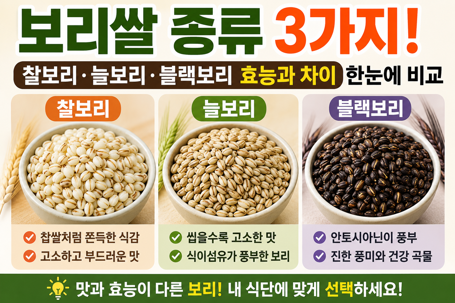 보리쌀 종류 3가지! 찰보리·늘보리·블랙보리 효능과 차이 한눈에 비교
