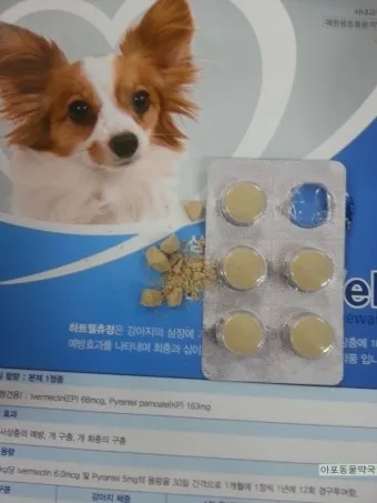 심장사상충약 복용 시기 가격 강아지 고양이 직구 부작용_11