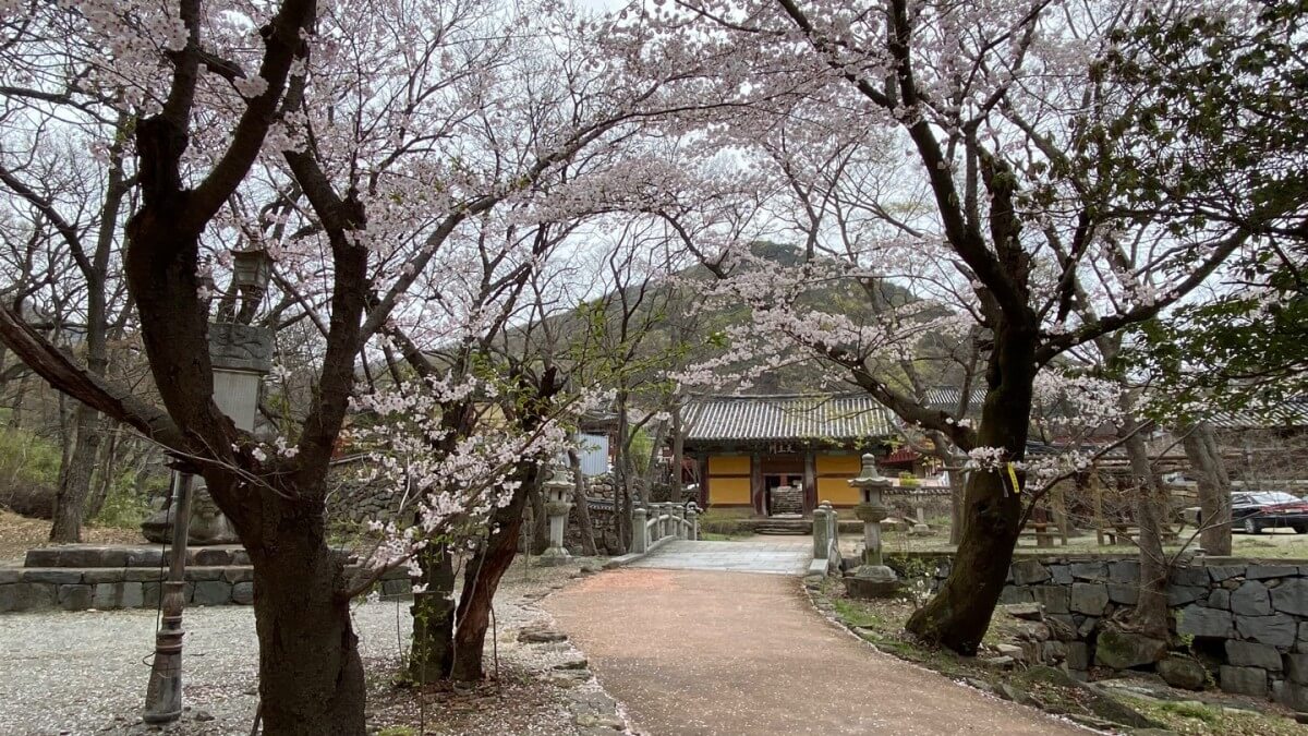 여수 흥국사 : 나라가 잘되길 기원하는 염원을 담은 호국 불교의 성지 고려후기 승려 보조국사 지눌이 창건한 사찰