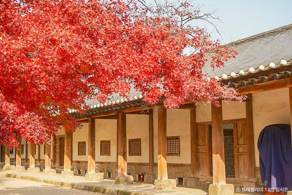 전국 단풍명소, 절정시기