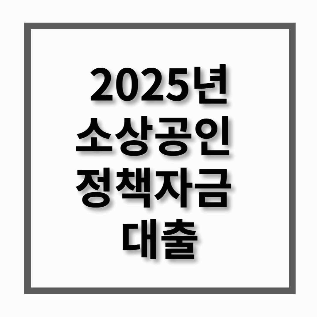 2025년 소상공인 정책자금 대출 조회