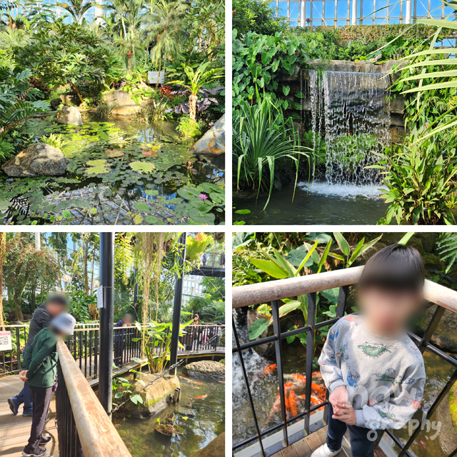 국립세종수목원