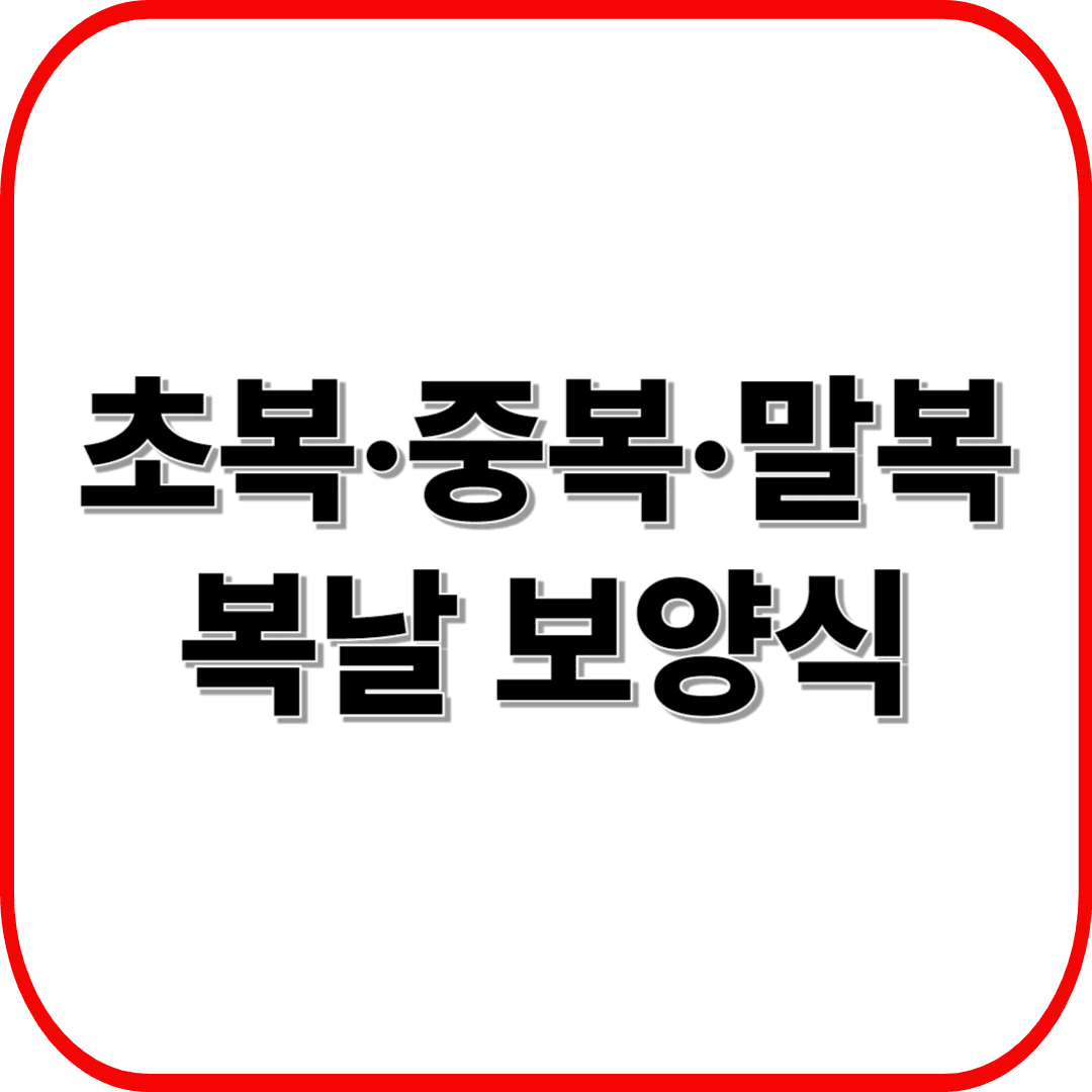 복날 보양식의 모든 것! 초복·중복·말복 제대로 챙기는 건강한 여름 나기